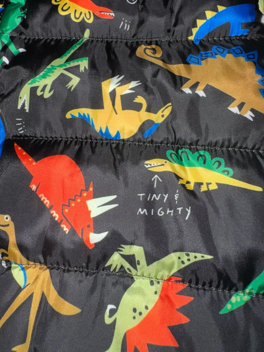 Epic Threads Toddler Boy Dinosaur Jacket 3T NEW
